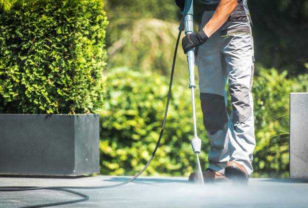  Petaluma, CA Pressure Washing Pros