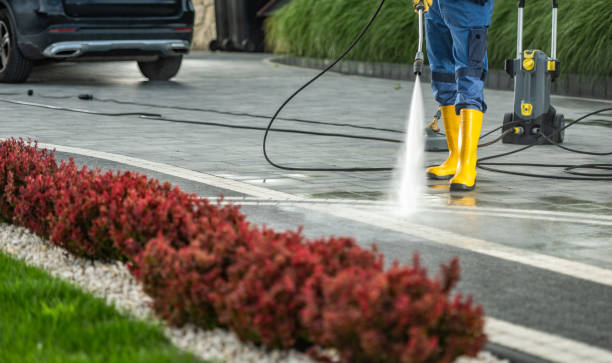 Best Parking Lot and Garage Cleaning  in Petaluma, CA