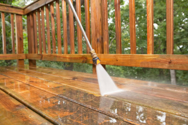 Best Gutter Cleaning  in Petaluma, CA